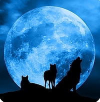 workshop ic maan cycli ben rovers astroloog den bosch